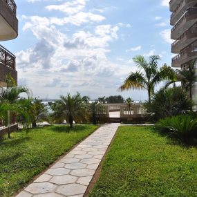 Lawn & Path of Masaki Furnished Apartments by Tanganyika Estate Agents