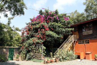 Outdoor Staircase of the 5 Bedroom House for Sale in Sakina, Arusha by Tanganyika Estate Agents