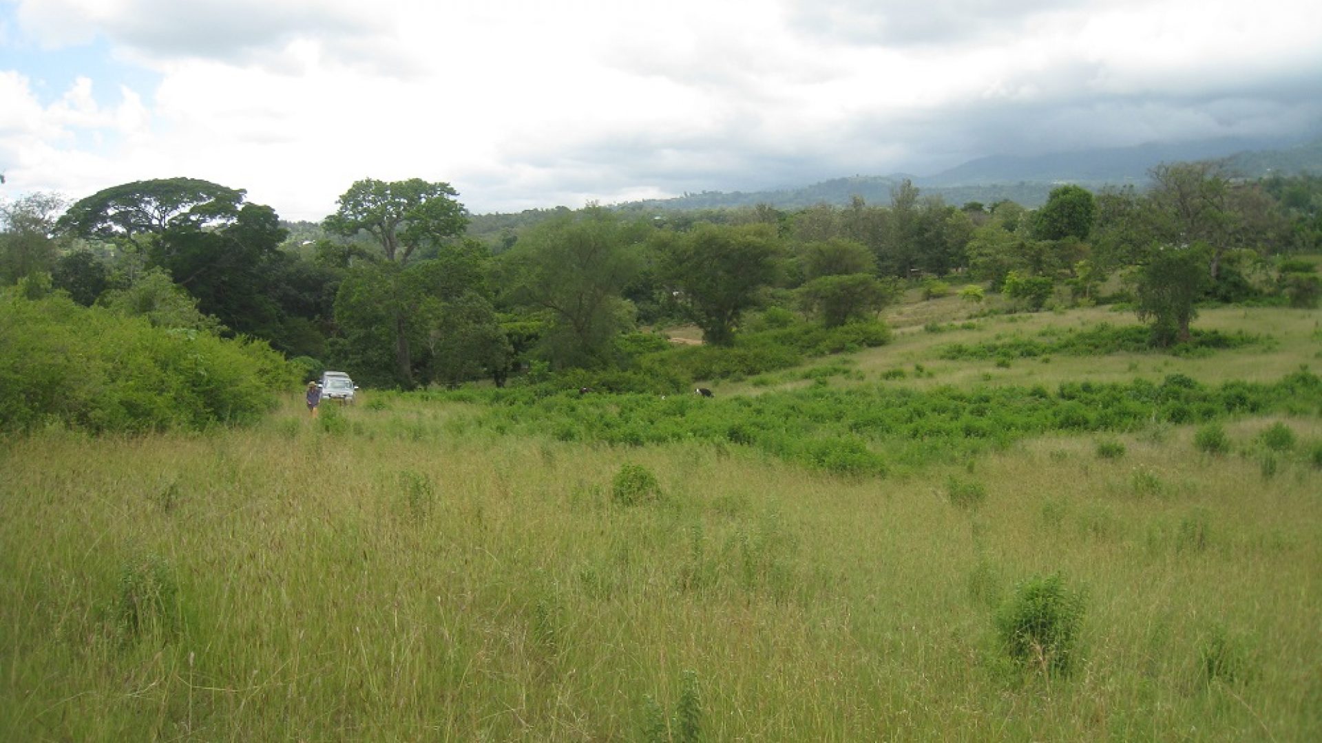 View of the Plot of Land for Sale in Usa River, Arusha by Tanganyika Estate Agents