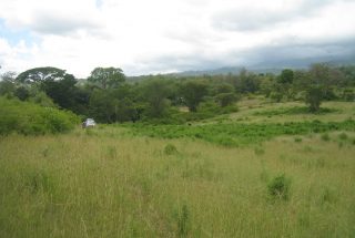 View of the Plot of Land for Sale in Usa River, Arusha by Tanganyika Estate Agents