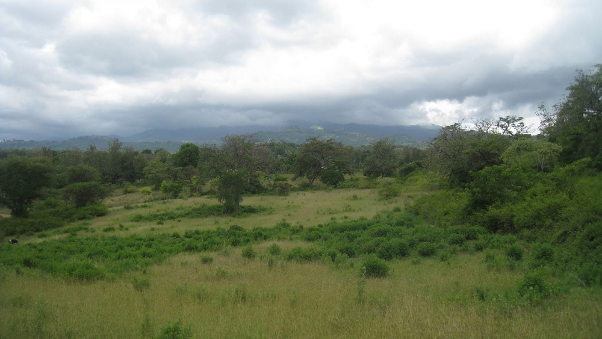 View of the Plot of Land for Sale in Usa River, Arusha by Tanganyika Estate Agents
