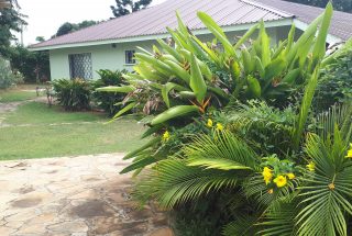Side Garden Raskazone Furnished Rental House by Tanganyika Estate Agents