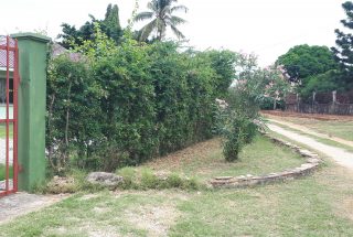 Garden View Raskazone Furnished Rental House by Tanganyika Estate Agents