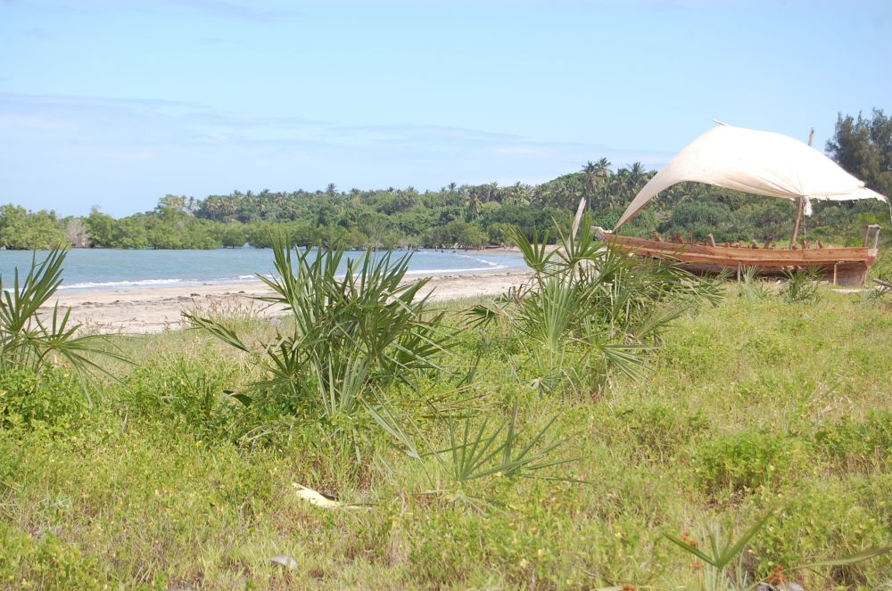 Kigombe 30 min south of Tanga Tzagents