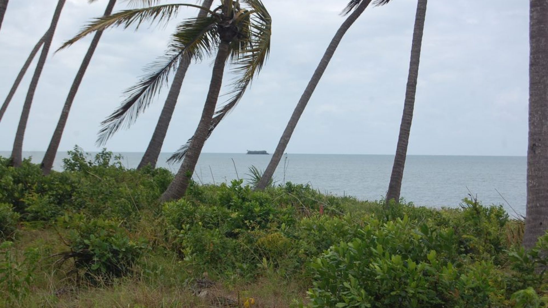 Mikocheni – Beachfront close to Saadani