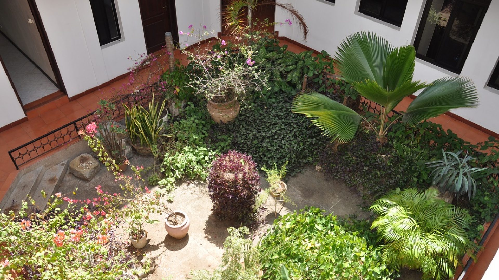 Mature Garden of Standalone House for Rent in Oysterbay by Tanagayika Estate Agents