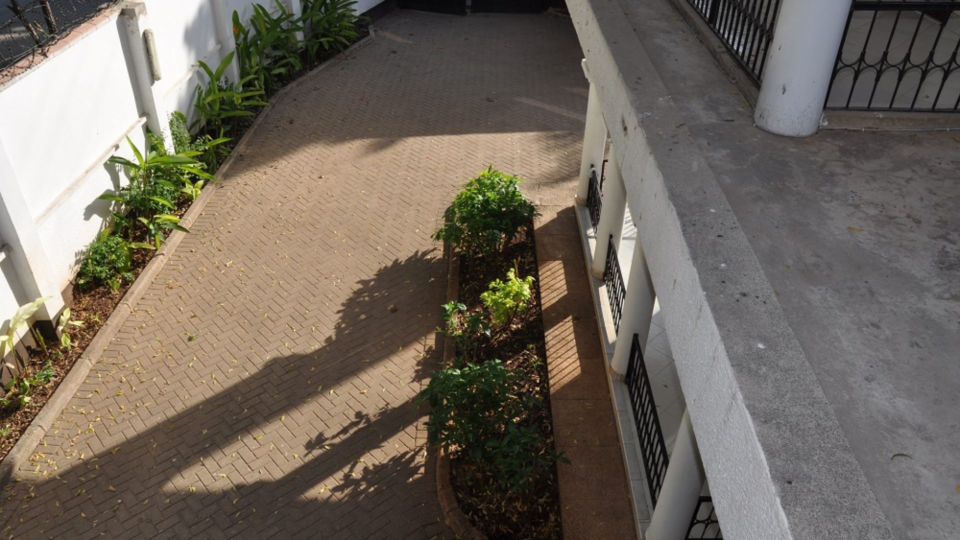 Driveway of Rental Standalone House in Masaki by Tanaganyika Estate Agents