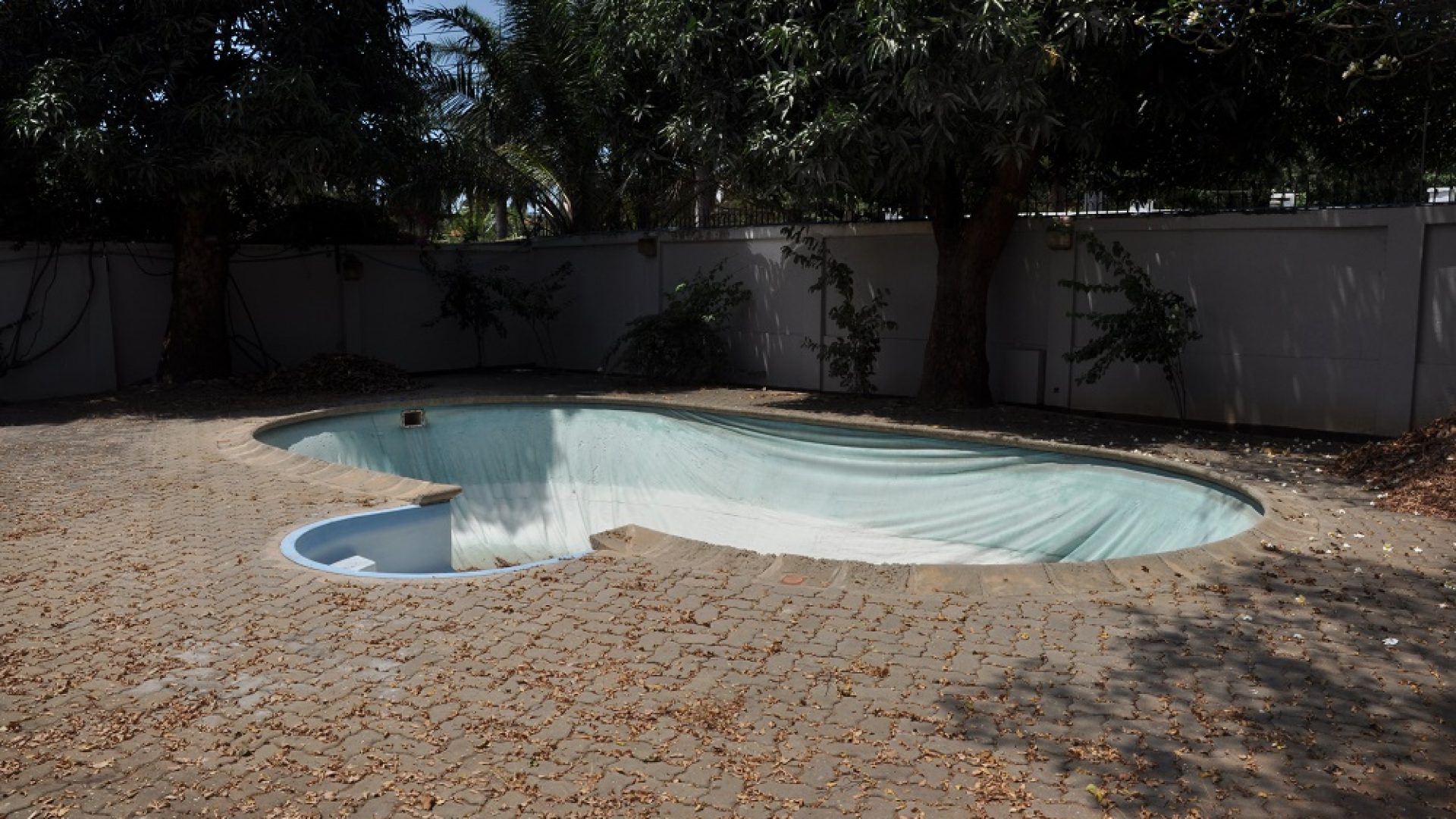 Swimming Pool of Standalone House for Rent in Oysterbay by Tanganyika Estate Agents