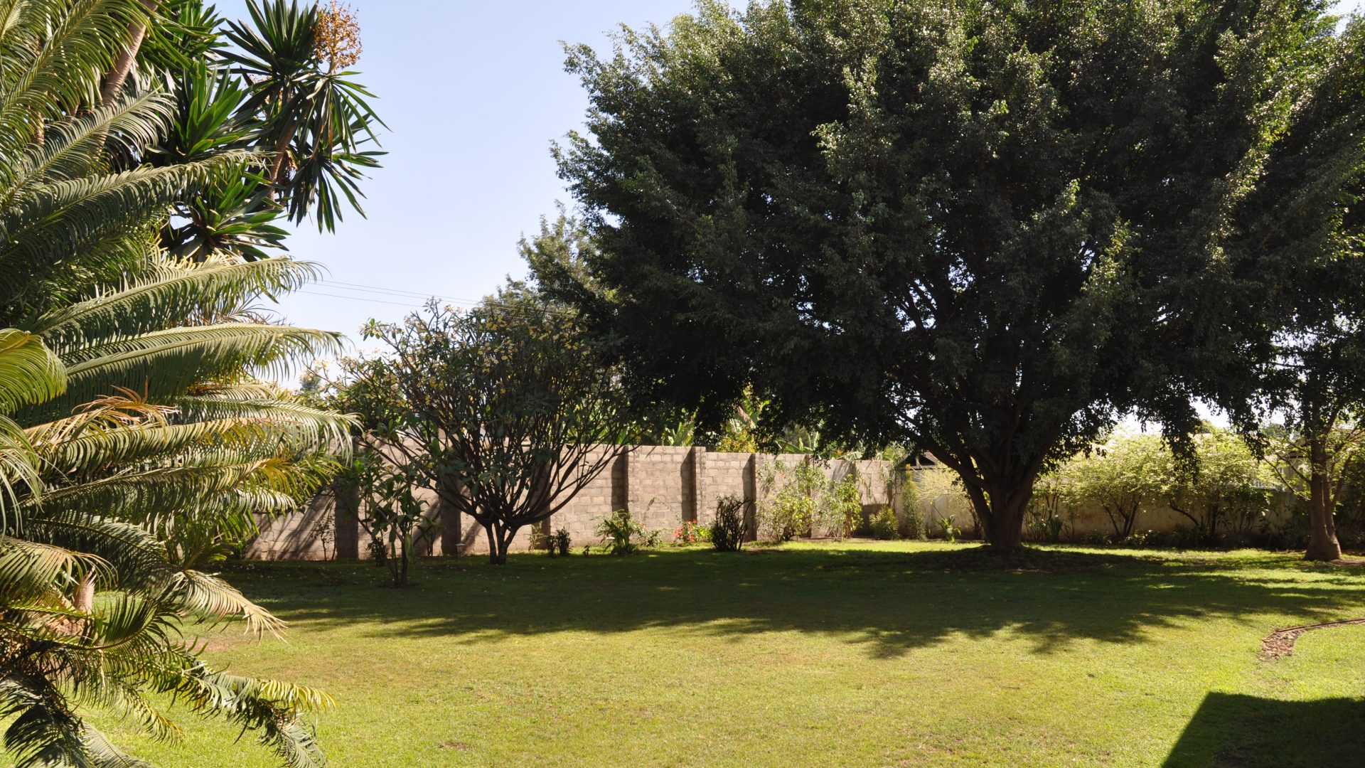 Lawn of the 5 Bedroom Home for Sale in Njiro PPF, Arusha by Tanganyika Estate Agents