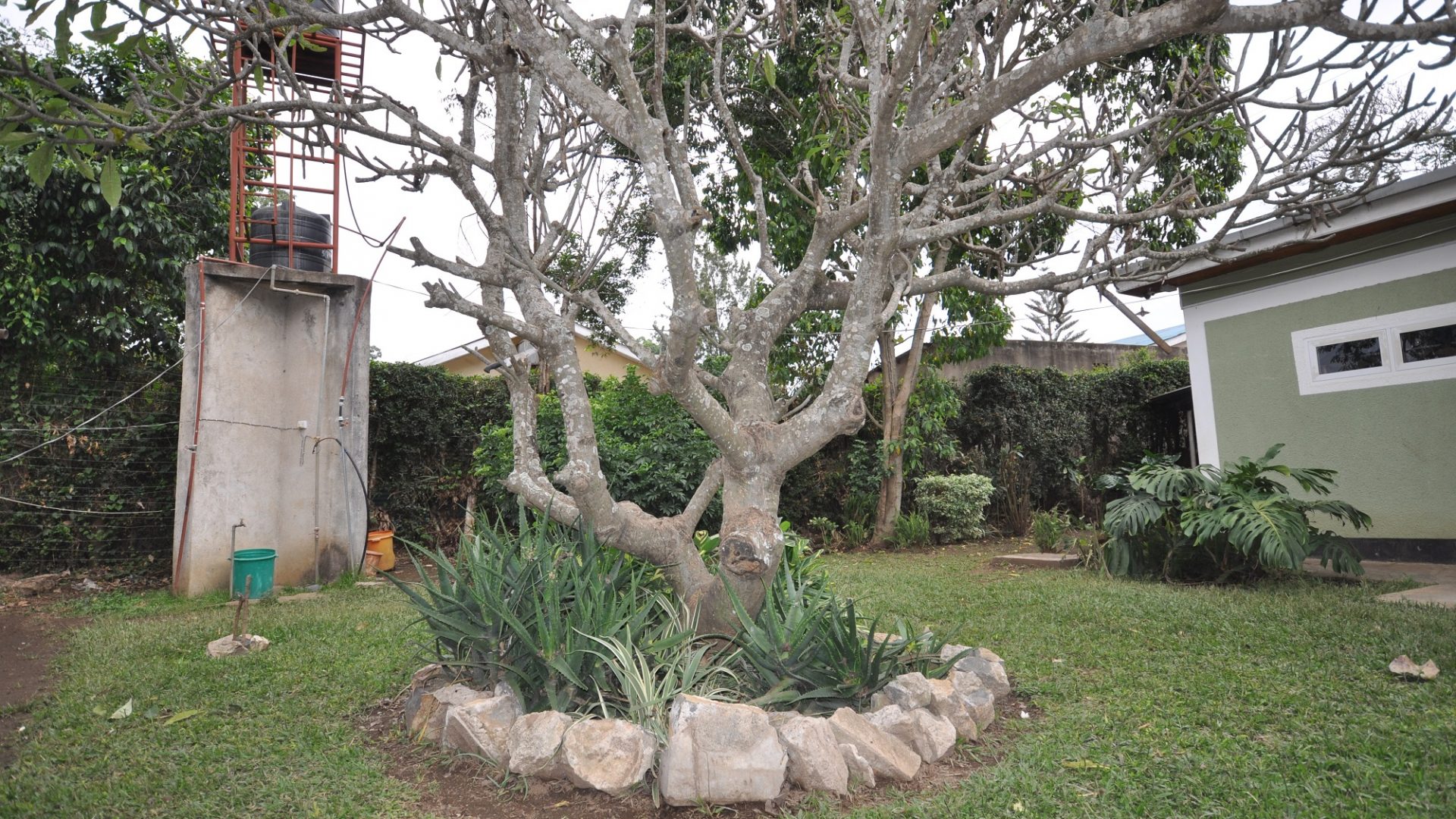 Garden of the 5 Bedroom Home for Sale in Gran Melia, Arusha by Tanganyika Estate Agents