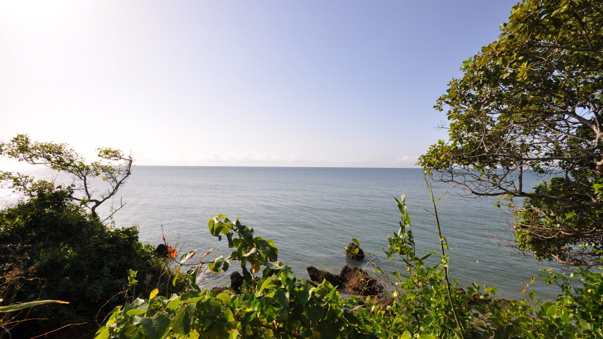 Amboni – Cliff plot