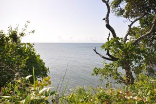 The Ocean View from the Landscaped Ocean Plot for Sale in Amboni Beach by Tanganyika Estate Agents