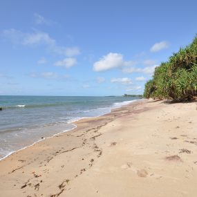 The Beach of the Beach Property for Sale in Amboni by Tanganyika Estate Agents
