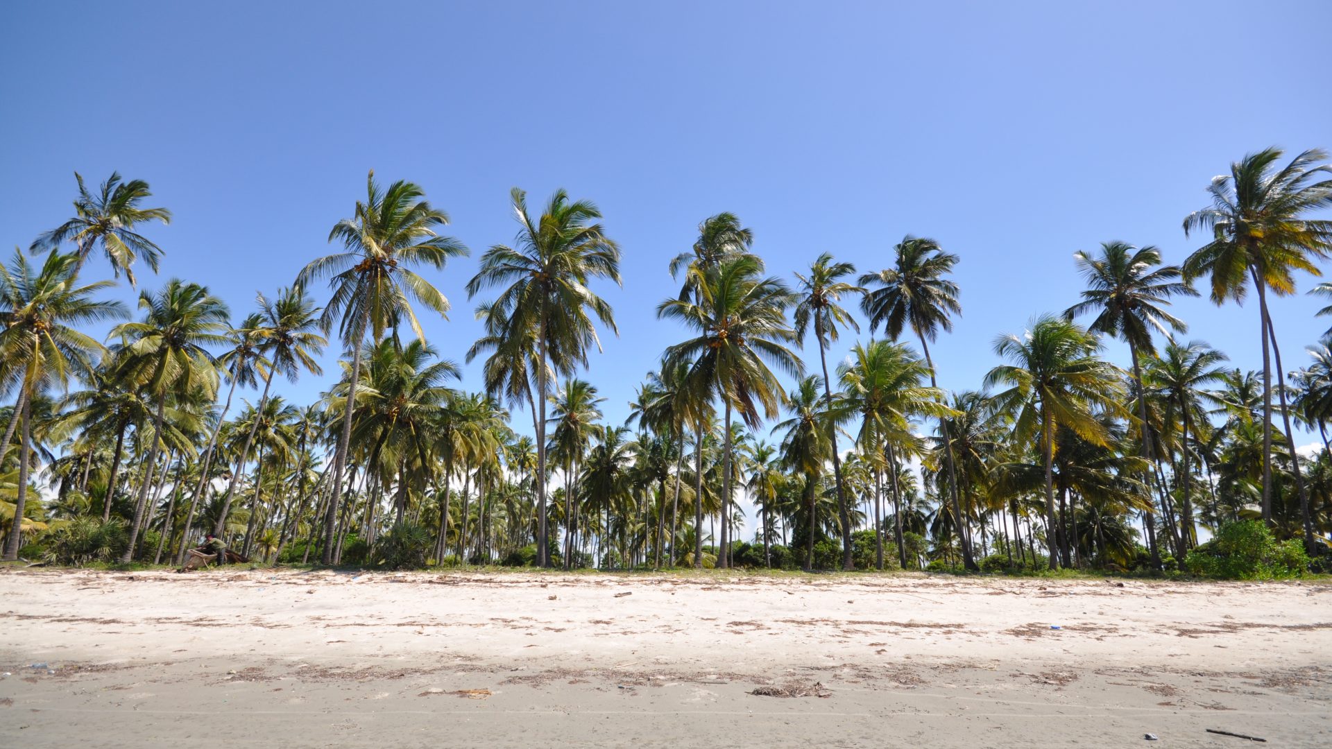 Sange……… An Amazing Beach a Short Distance North of Saadani!