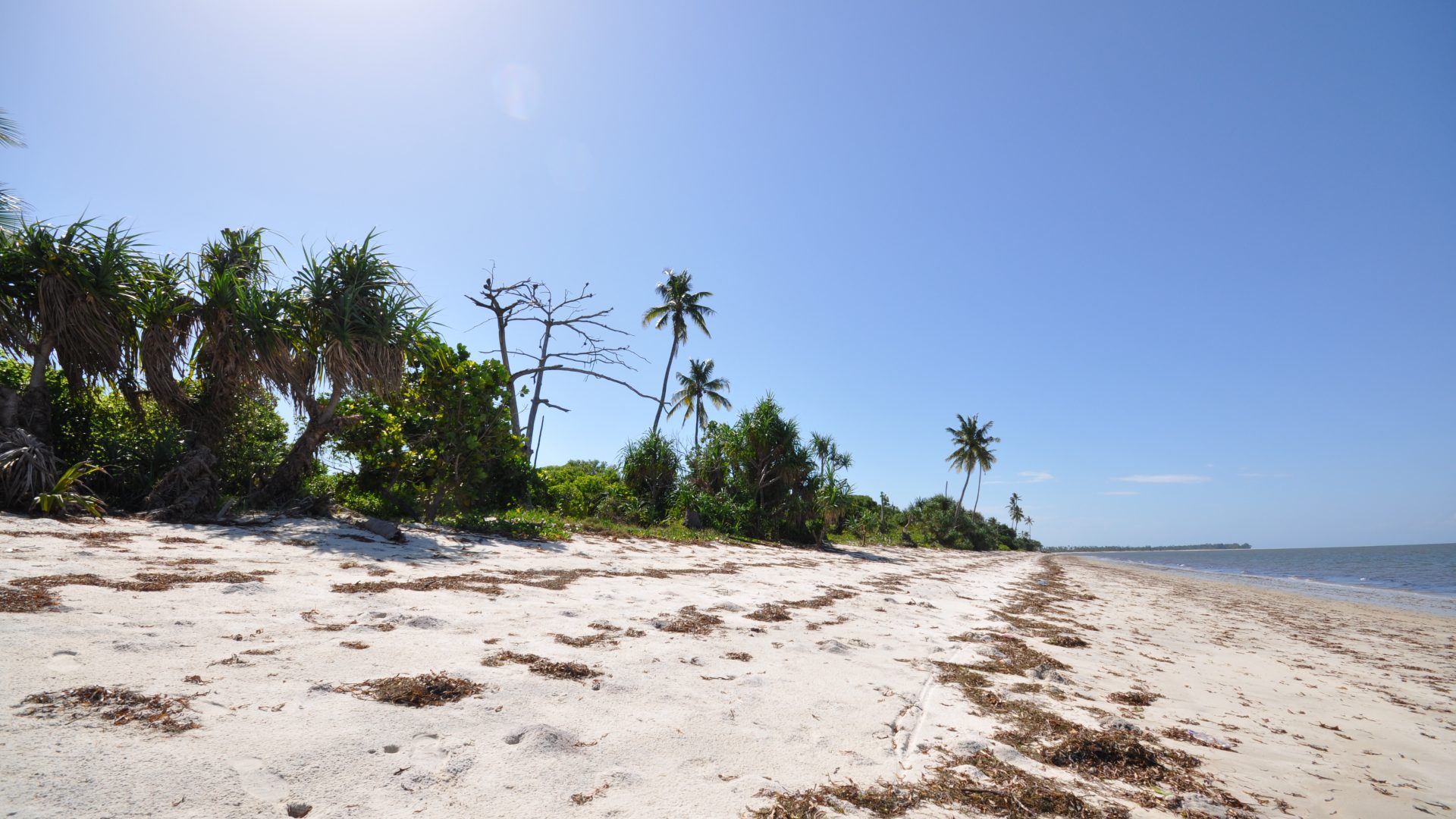 Stahabu – White sand