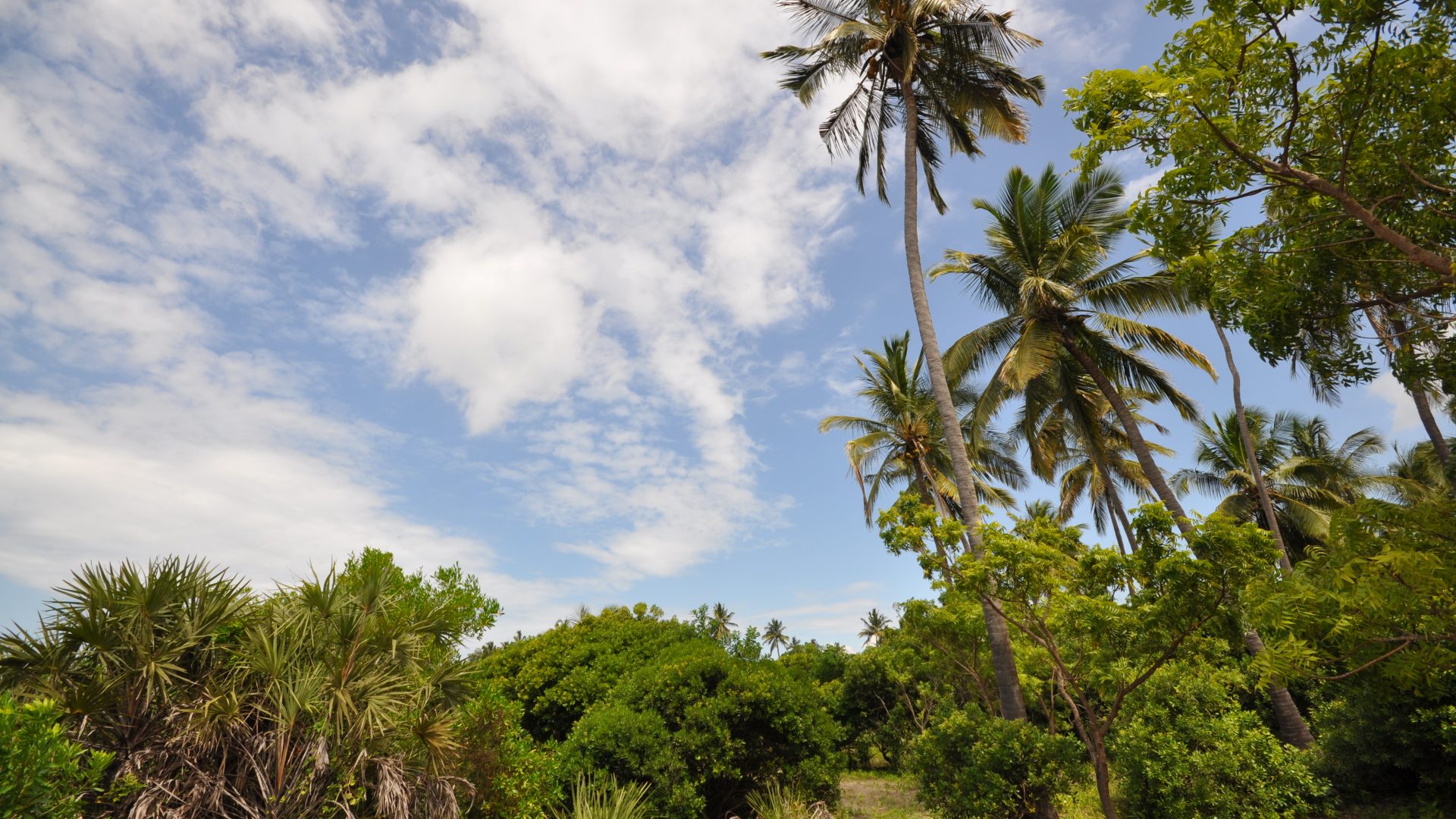 The 6 Acre Prime Beachfront Plot for Sale in Ushongo by Tanganyika Estate Agents