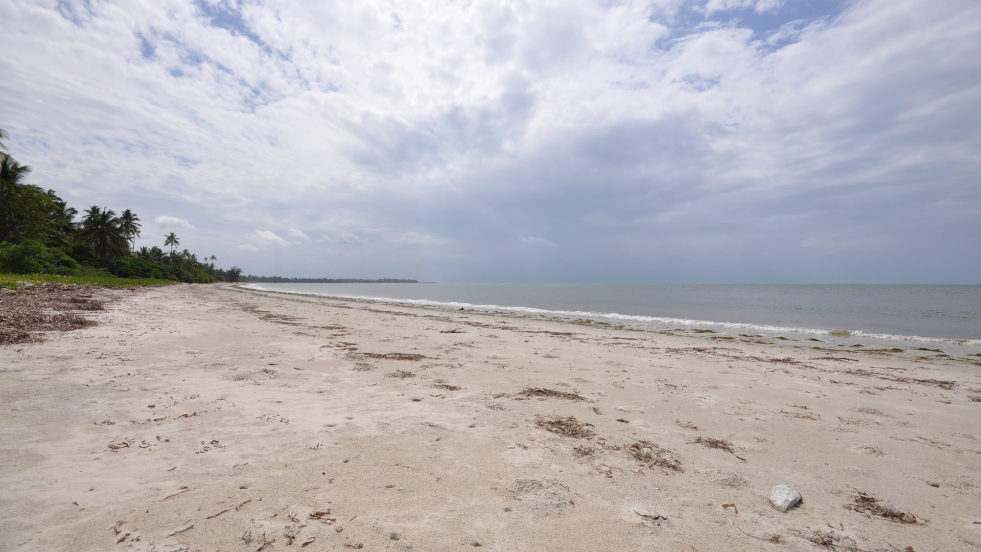 Beachfront of the 6 Acre Prime Beachfront Plot for Sale in Ushongo by Tanganyika Estate Agents