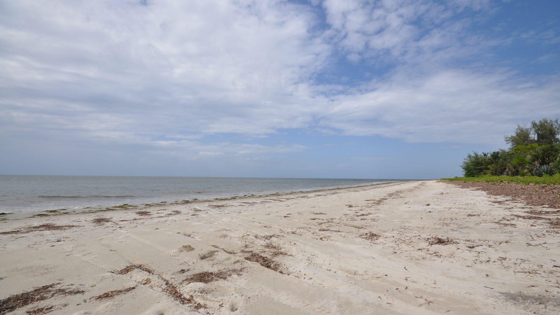 Beachfront of the 6 Acre Prime Beachfront Plot for Sale in Ushongo by Tanganyika Estate Agents