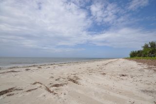 Beachfront of the 6 Acre Prime Beachfront Plot for Sale in Ushongo by Tanganyika Estate Agents