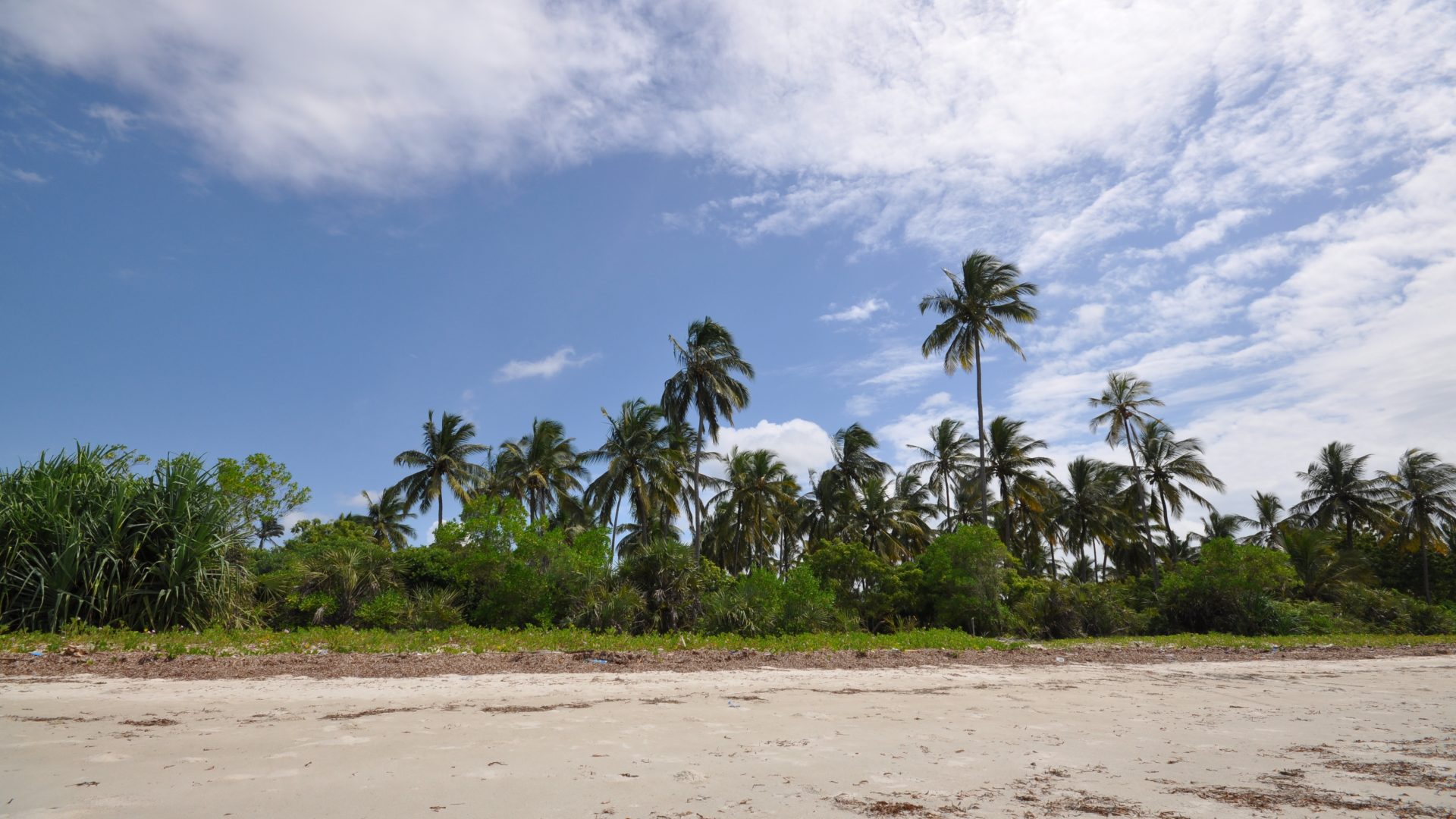 Ushongo – Prime beach