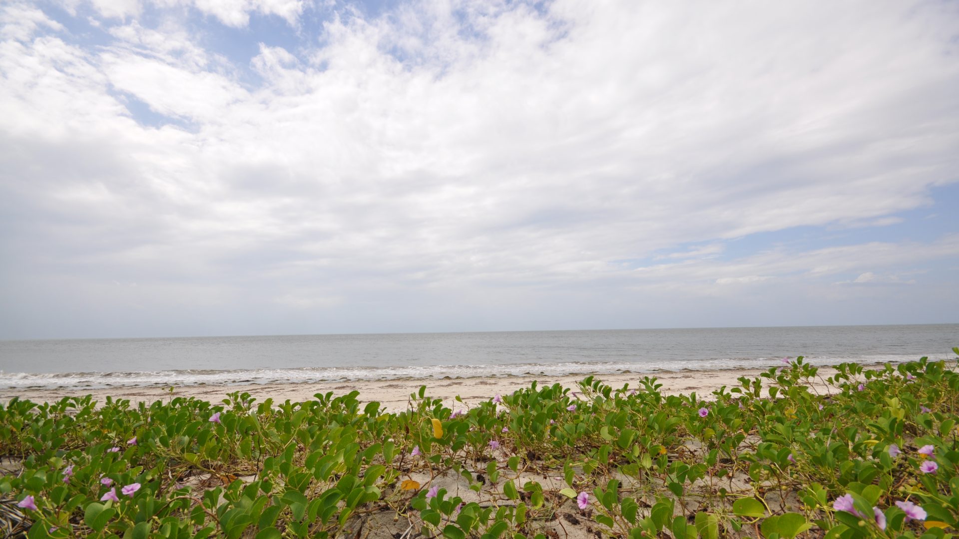 The 6 Acre Prime Beachfront Plot for Sale in Ushongo by Tanganyika Estate Agents