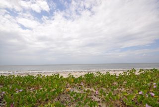 The 6 Acre Prime Beachfront Plot for Sale in Ushongo by Tanganyika Estate Agents