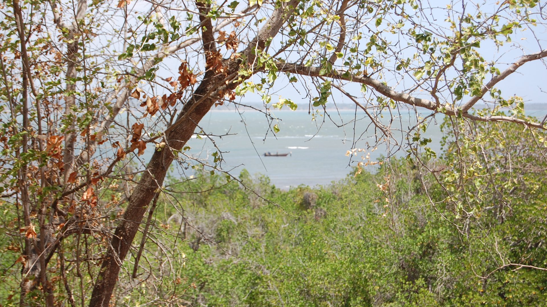 Kikokwe – Great Views – Oceanfront