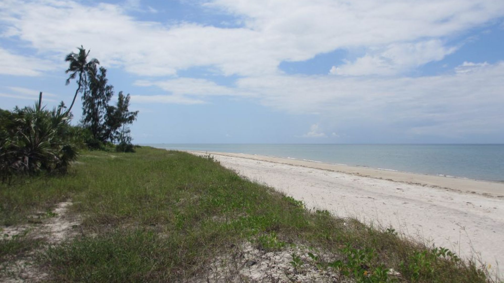 Mkwaja – Saadani – Incredible beach!