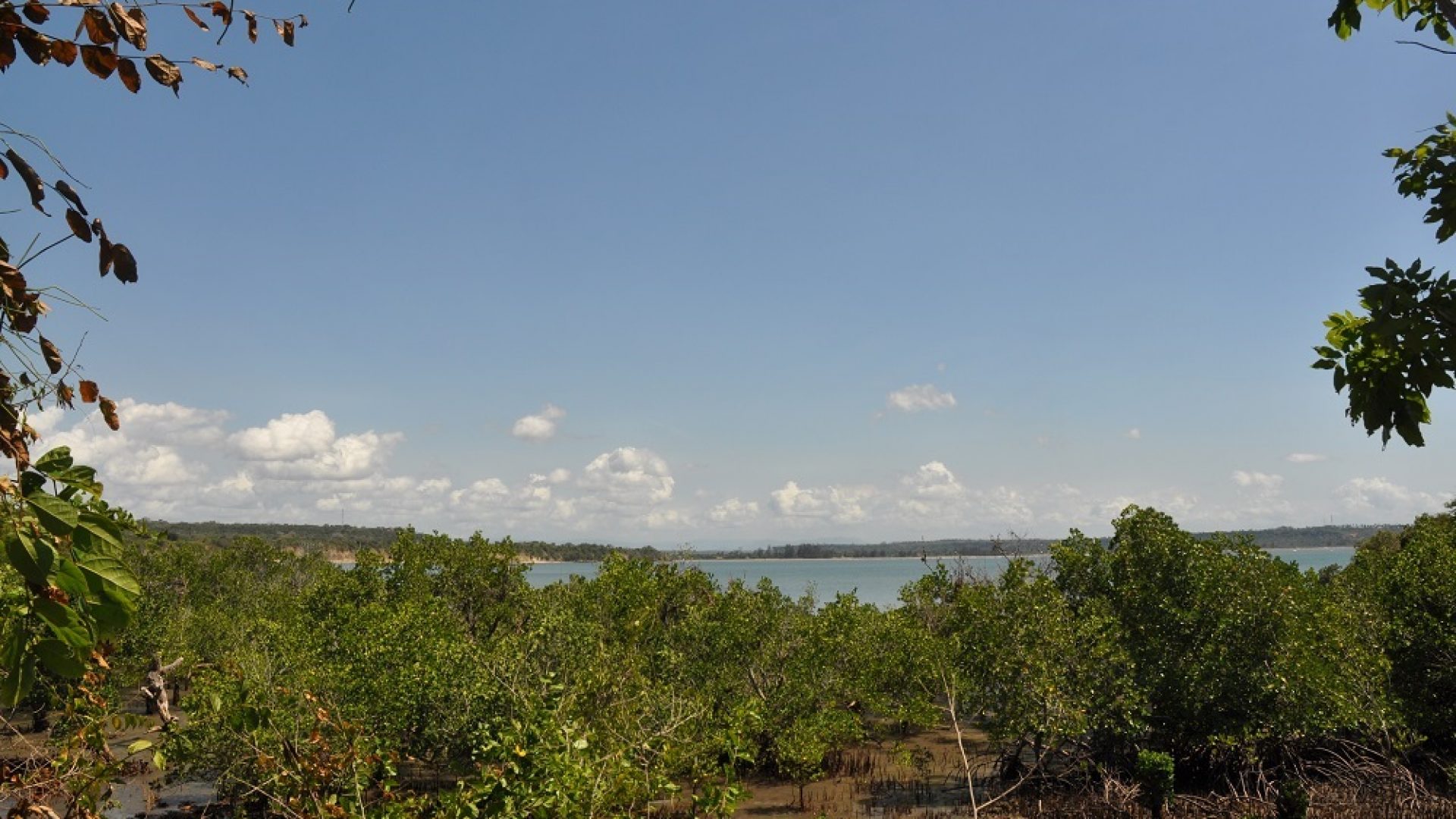 Kikokwe – Elevated plot