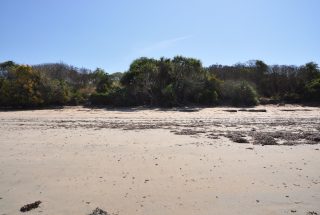 The Beachfront Land for Sale in Kikokwe by Tanganyika Estate Agents