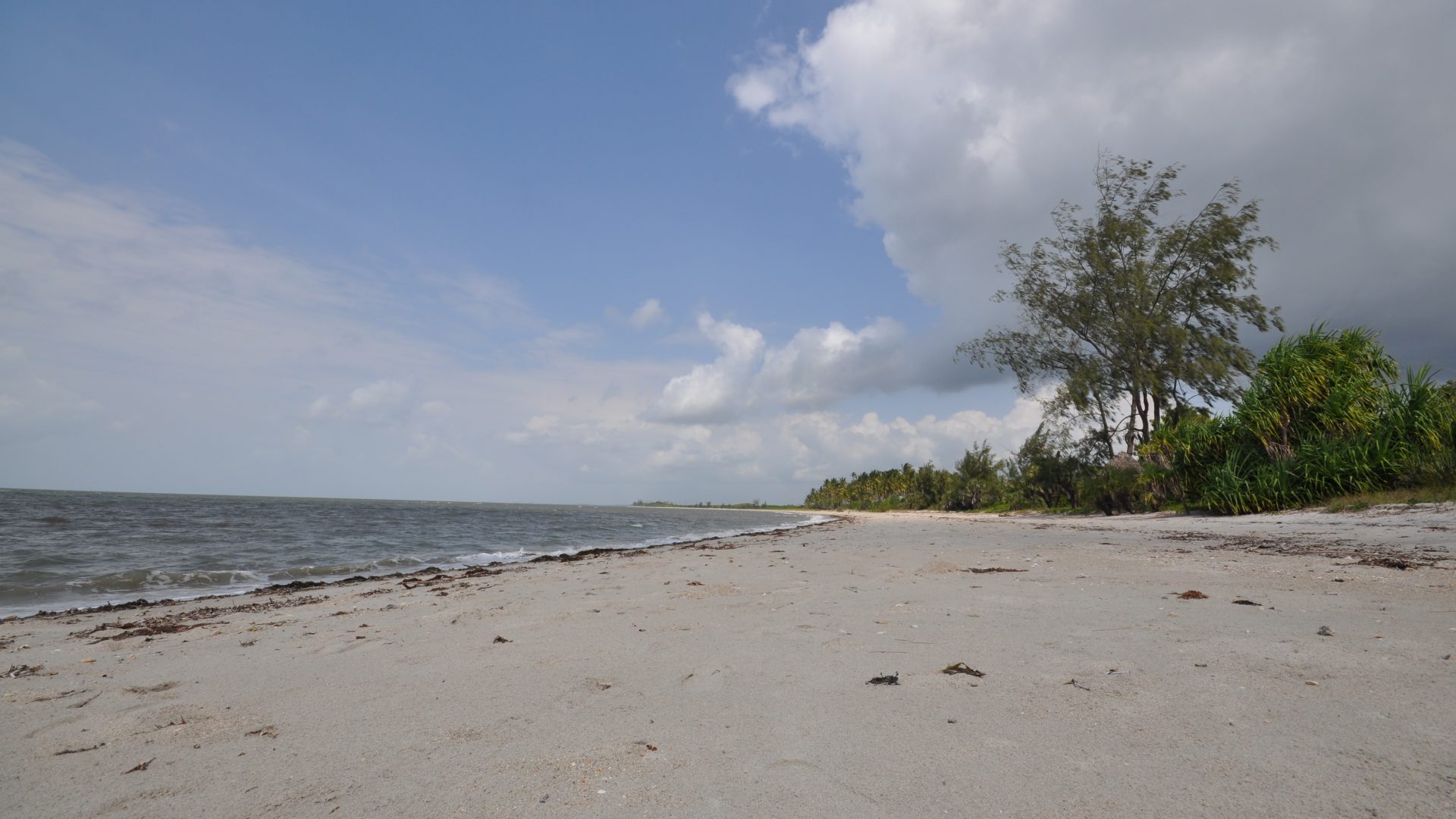 Mkwaja – Saadani – Beach paradise