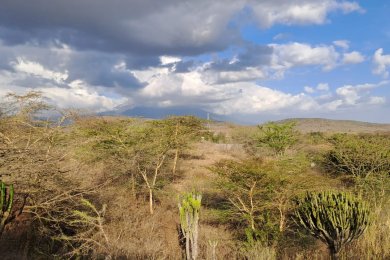 Land for Sale in Kisongo – Likamba, Arusha
