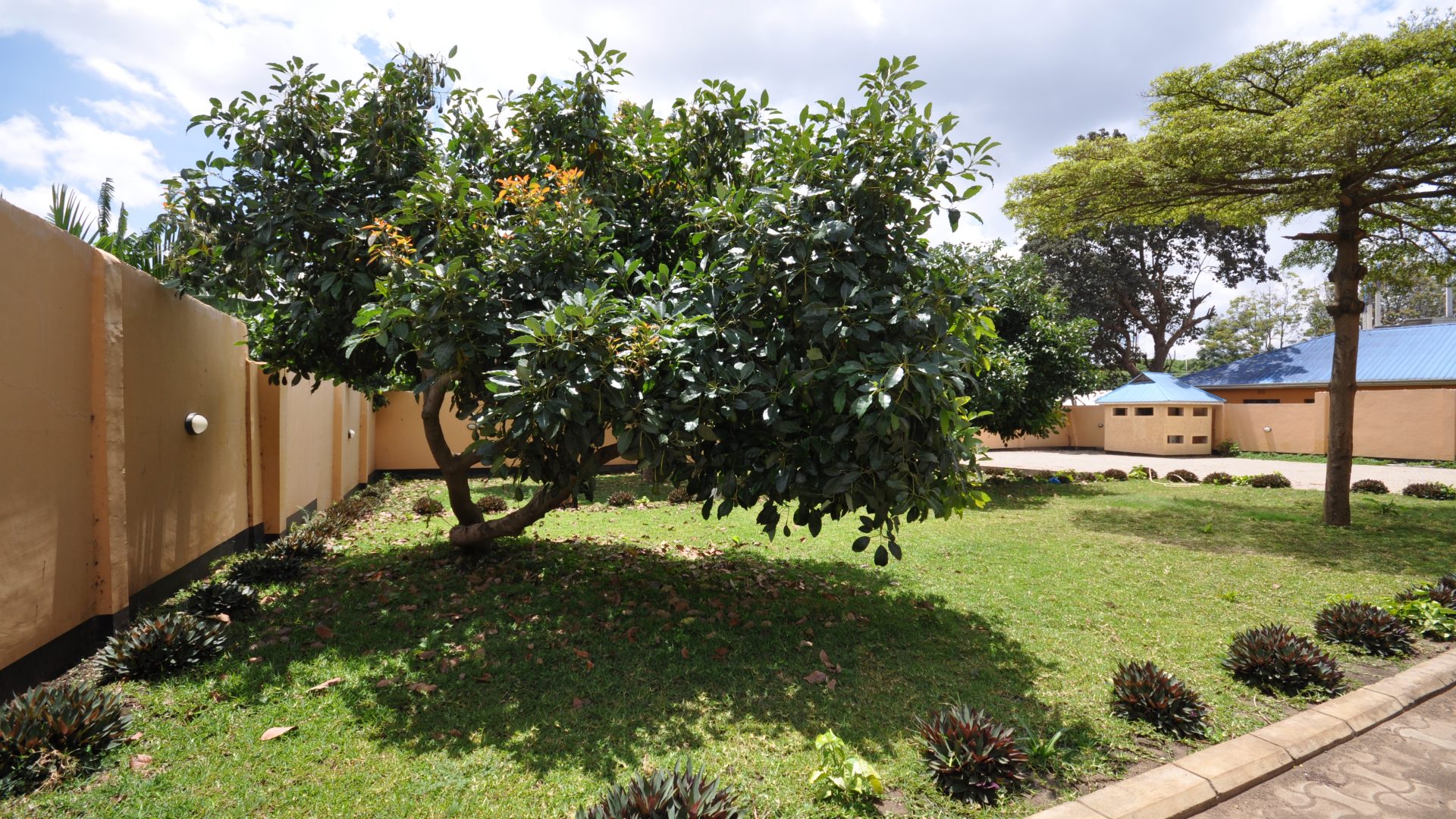 The Lawn of the Commercial Building for Sale in Sakina, Arusha by Tanganyika Estate Agents