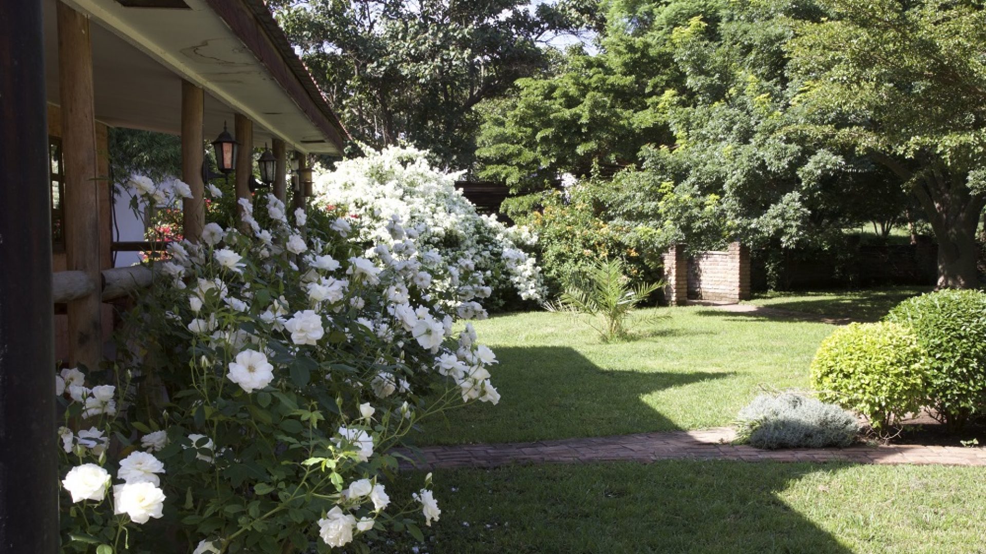 Lawn of the 6 Bedroom House for Sale in Arusha by Tanganyika Estate Agents