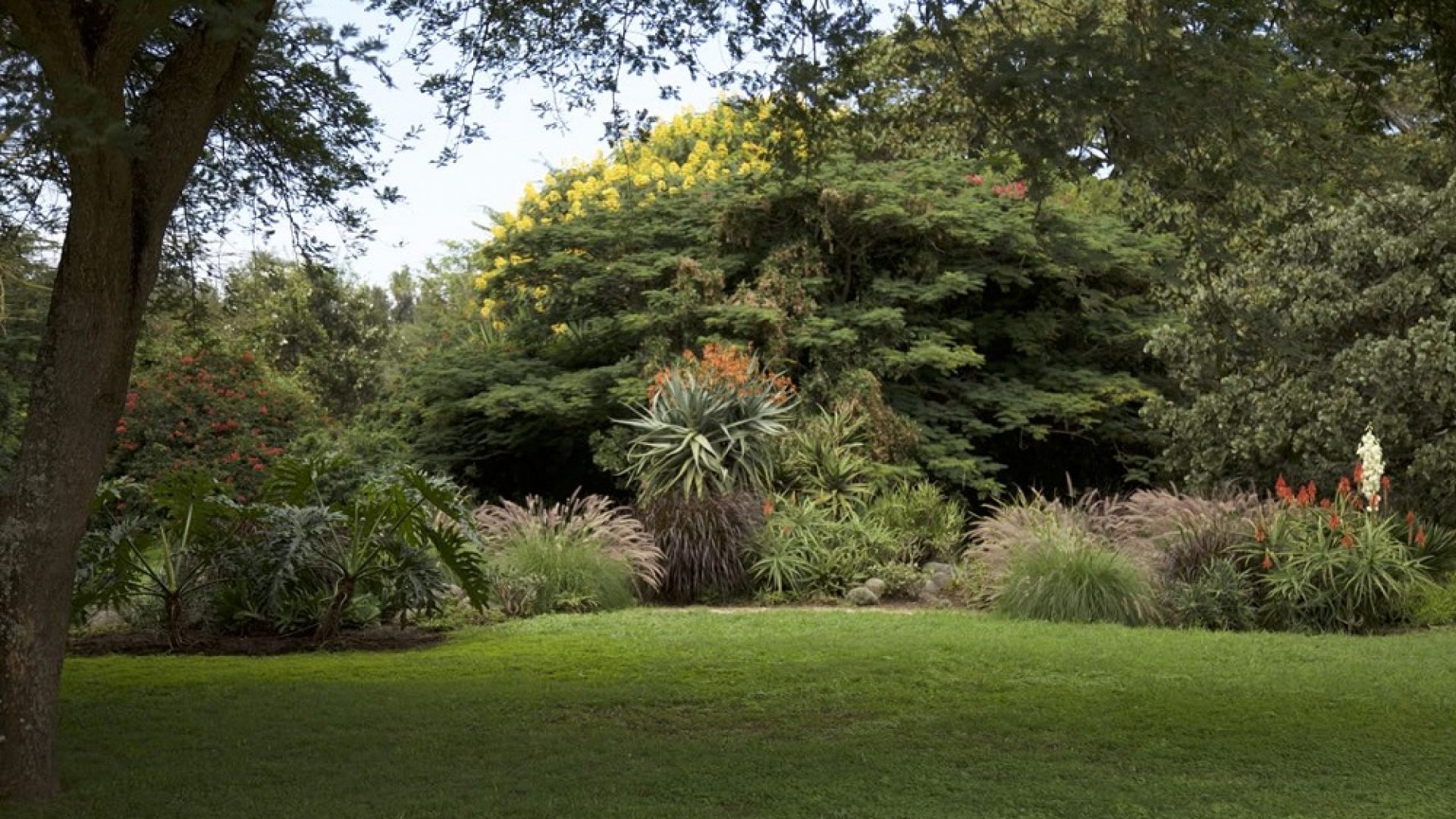 The Lawn of the 6 Bedroom House for Sale in Arusha by Tanganyika Estate Agents