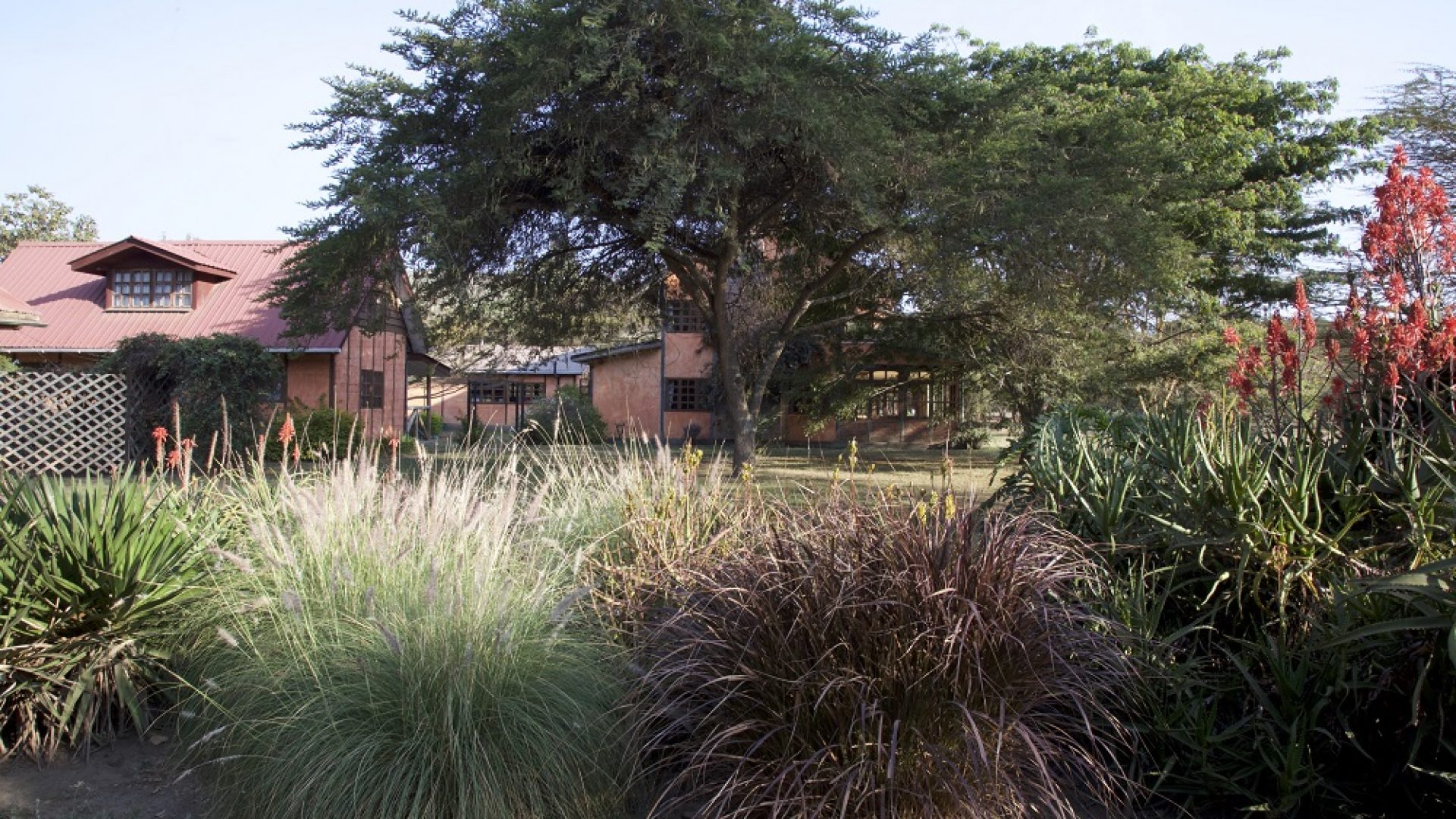 Garden of the 6 Bedroom House for Sale in Arusha by Tanganyika Estate Agents