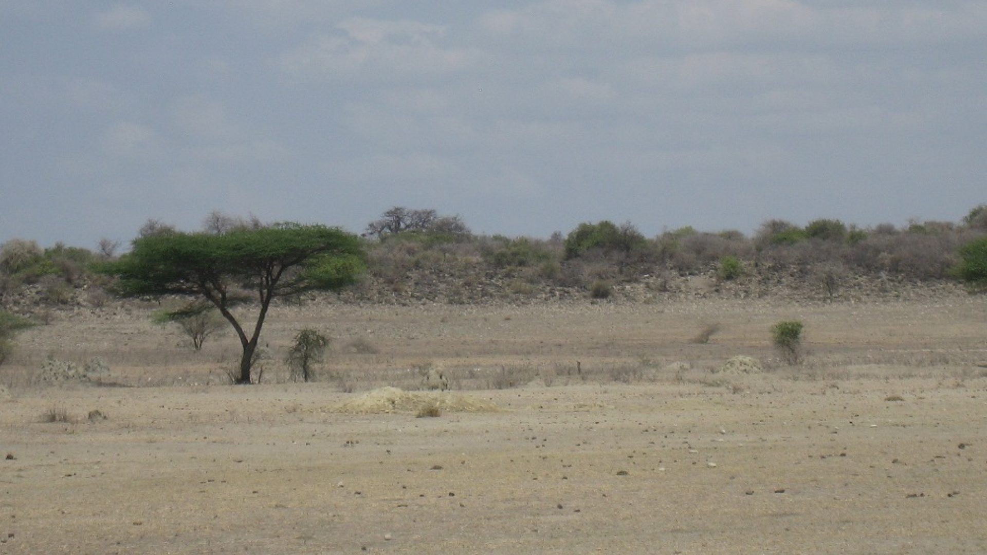 The Land for Sale on Lake Manyara by Tanganyika Estate Agents