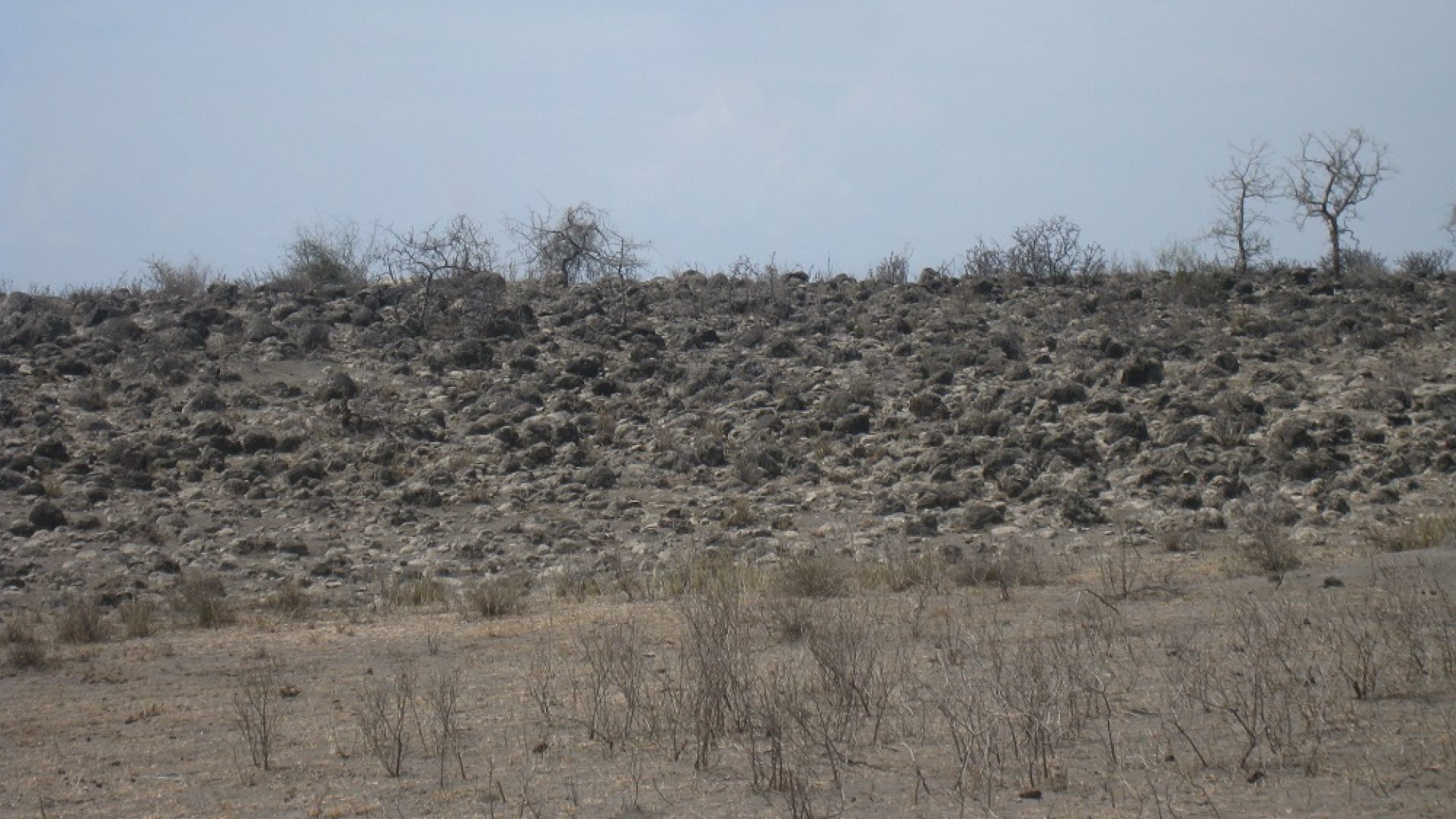 The Land for Sale on Lake Manyara by Tanganyika Estate Agents