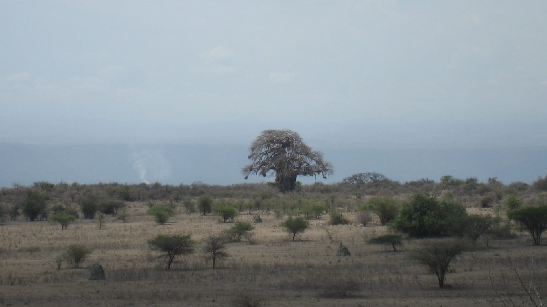 The Land for Sale on Lake Manyara by Tanganyika Estate Agents
