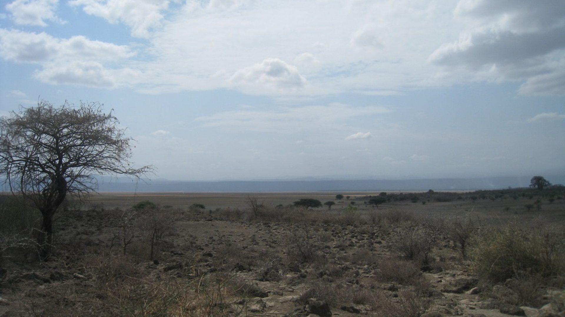 The Land for Sale on Lake Manyara by Tanganyika Estate Agents