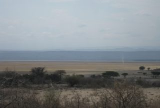 The Land for Sale on Lake Manyara by Tanganyika Estate Agents