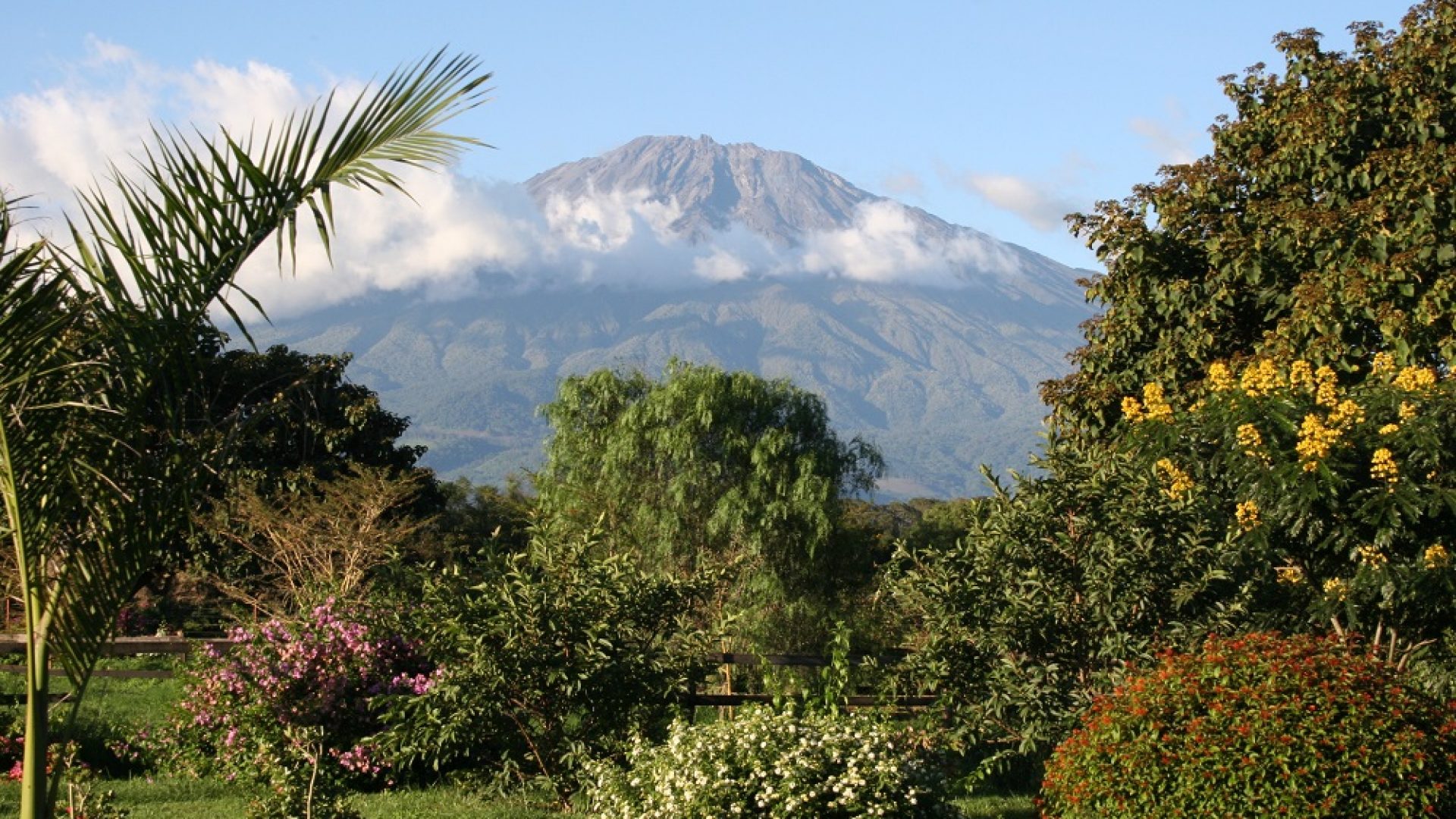 Six Bedroom House for Sale in Arusha