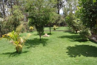 The Lawn of the 2 Bedroom House in Kibaoni, Arusha by Tanganyika Estate Agents