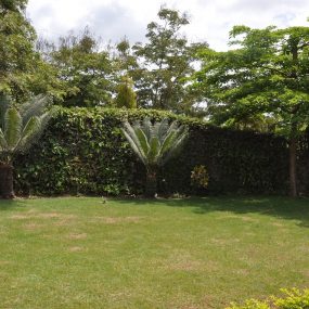 Back Garden of the Three Bedroom Furnished House in Usa River Town by Tanganyika Estate Agents