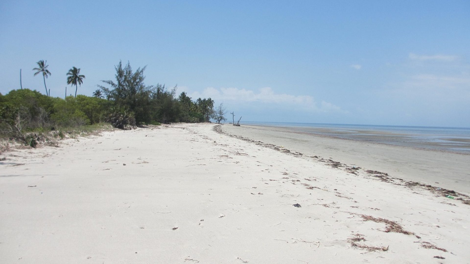 Mikocheni – 50 acres close to Saadani