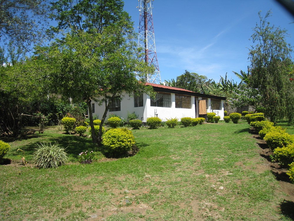 Three Bedroom Furnished House in the Corridor Area