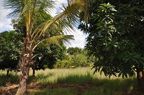 Land for Sale on Pugu Road, Dar es Salaam