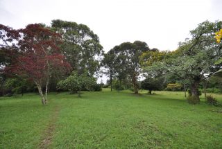 The Lawn on the Safari Lodge for Sale in Usa River, Arusha by Tanganyika Estate Agents