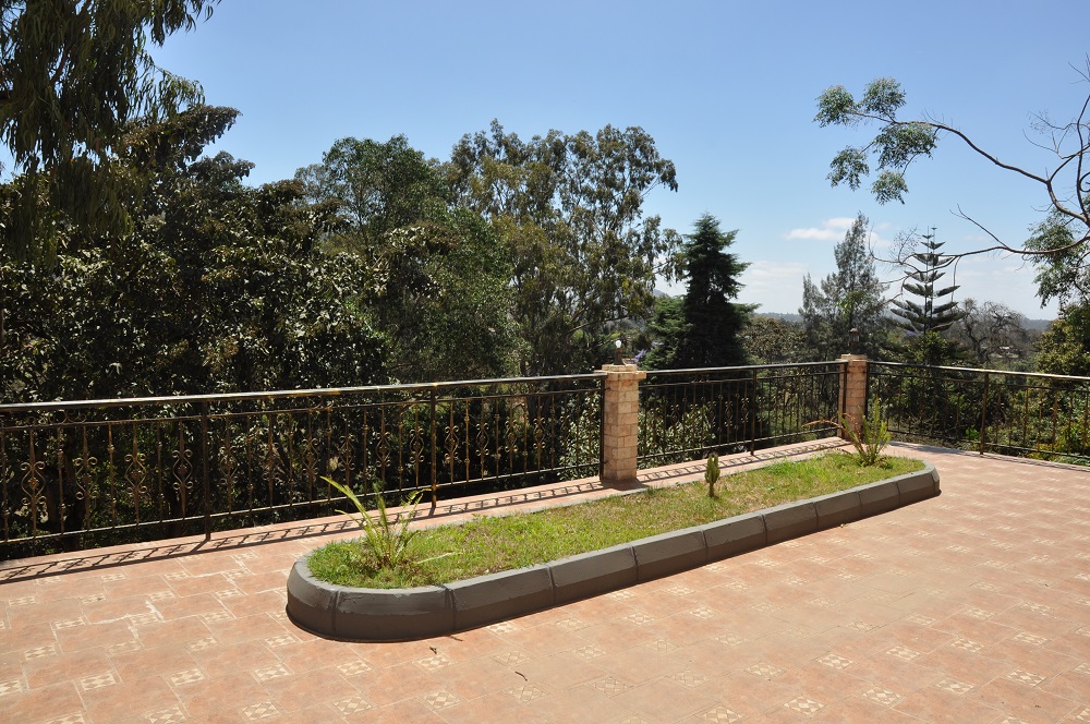 Three Bedroom Furnished Apartment on Themi Hill