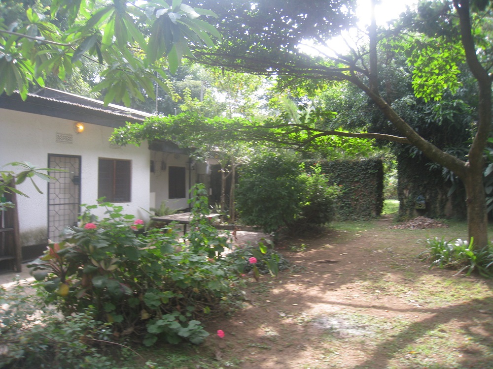 Three Bedroom House for Rent in the Corridor Area